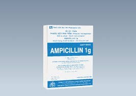 AMPICILLINE 1 g pdre sol. inj. fl